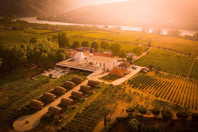 Douro: luxury walking tour with lunch at Quinta da Pacheca - Is the $301.03 price worth it?