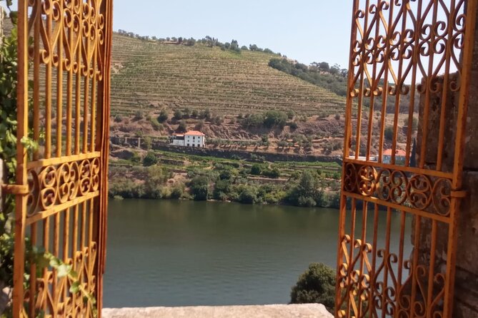 Douro: luxury walking tour with lunch at Quinta da Pacheca - Inside the old wine cellars
