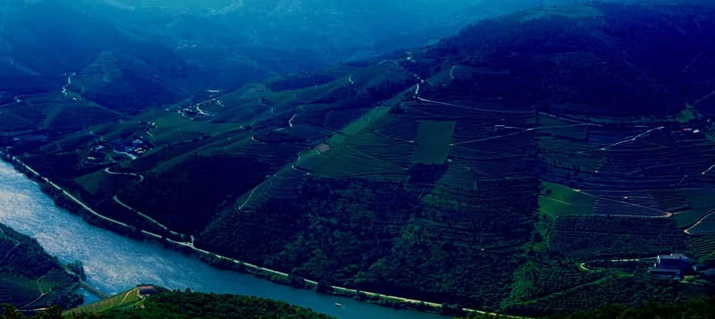DOURO PREMIUM - Two hours among Douro wines