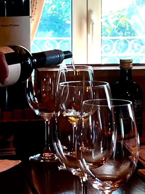 DOURO PREMIUM - The scenic N222 drive back