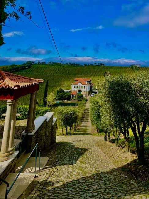 DOURO PREMIUM - What the small group changes