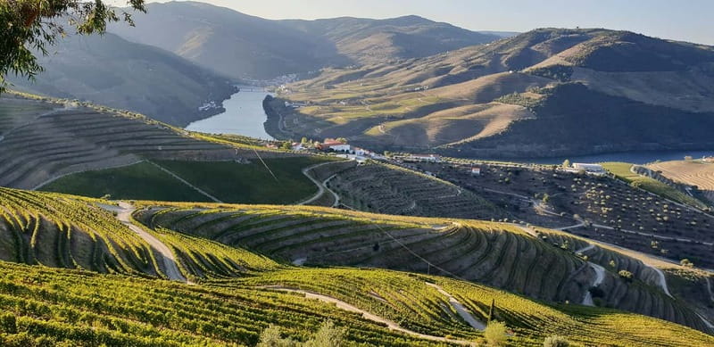 Douro Private Signature Tour – Customizable Experience - Why this private Douro day works