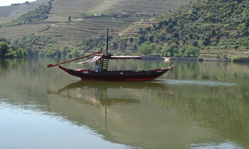 Douro Private Signature Tour – Customizable Experience - Choosing the right wine tasting