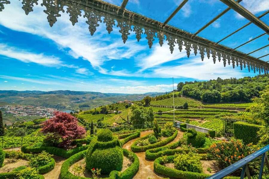 Douro: Quinta de Santa Júlia Lunch, Tour, & Wine Tasting - The grounds after lunch