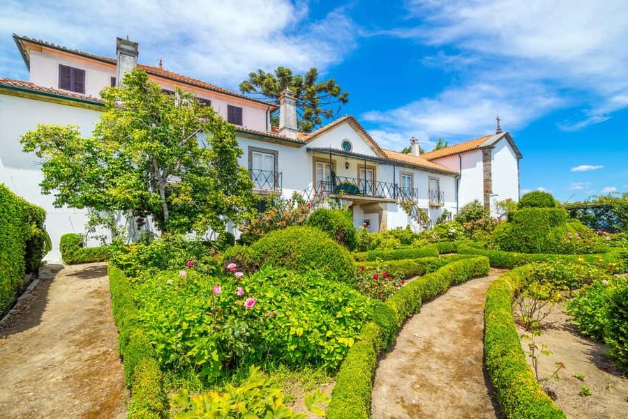 Douro: Quinta de Santa Júlia Lunch, Tour, & Wine Tasting - Who should book this Douro lunch?