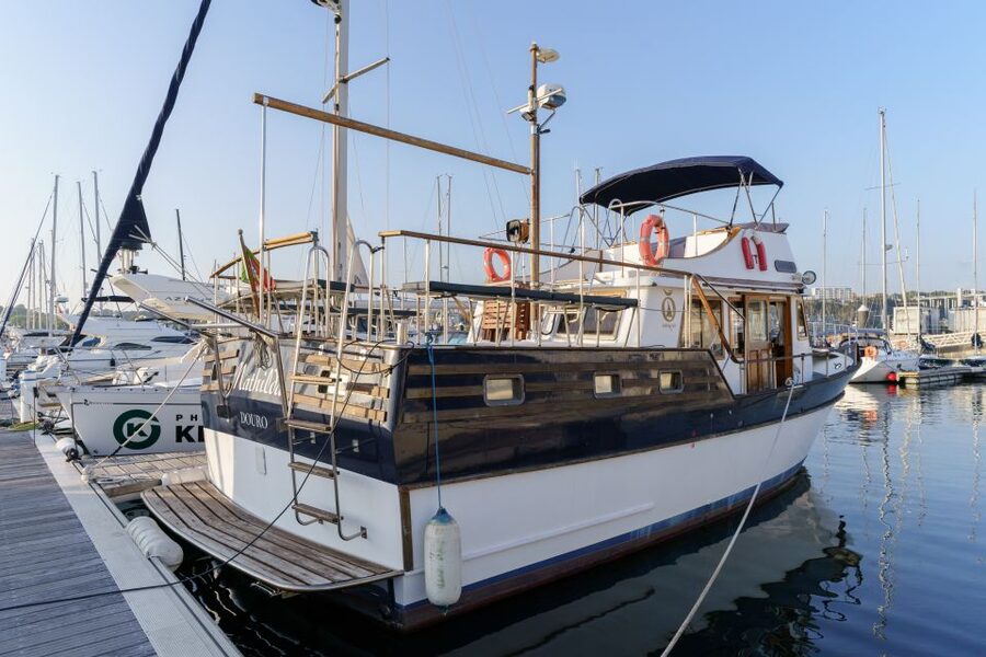 Douro River: Party Boat Tour - Starting at Marina da Afurada