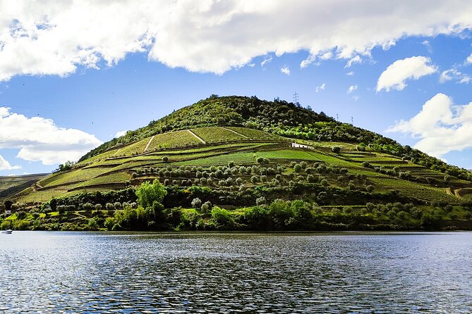 Douro | Roots & History - Tour with a local - The family story at the center of the Douro day