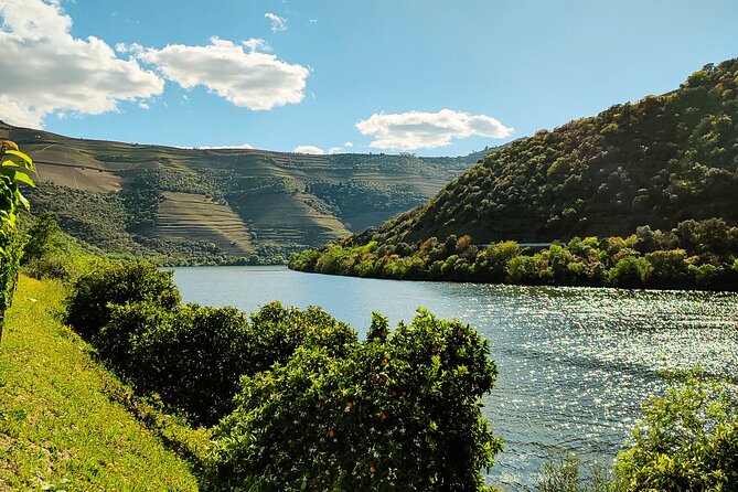 Douro | Roots & History - Tour with a local - The Pinhão viewpoint puts the terraces in context