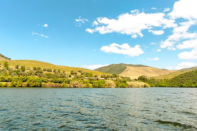Douro | Roots & History - Tour with a local - The first winery near Pinhão