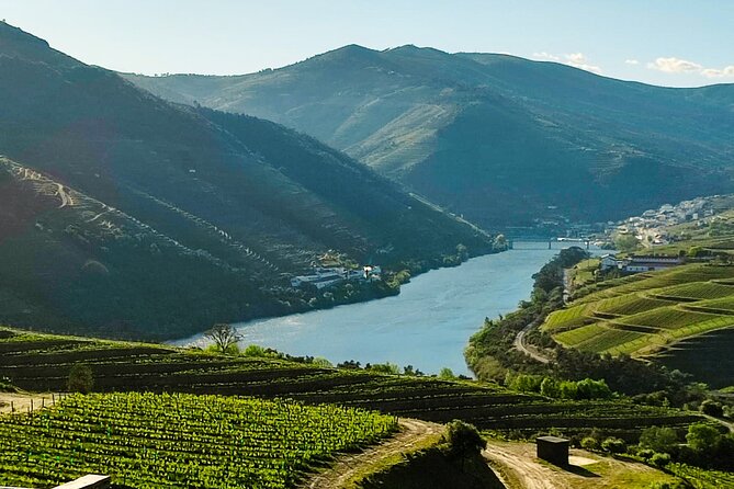 Douro | Roots & History - Tour with a local - The N222 follows the Douro toward lunch