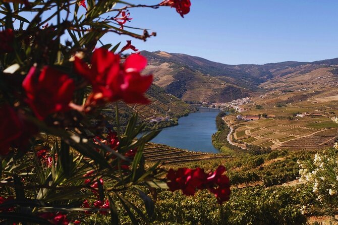 Douro Three Winery Small Group Tour with Lunch and Tastings - Why the Douro Valley makes a fine day trip from Porto