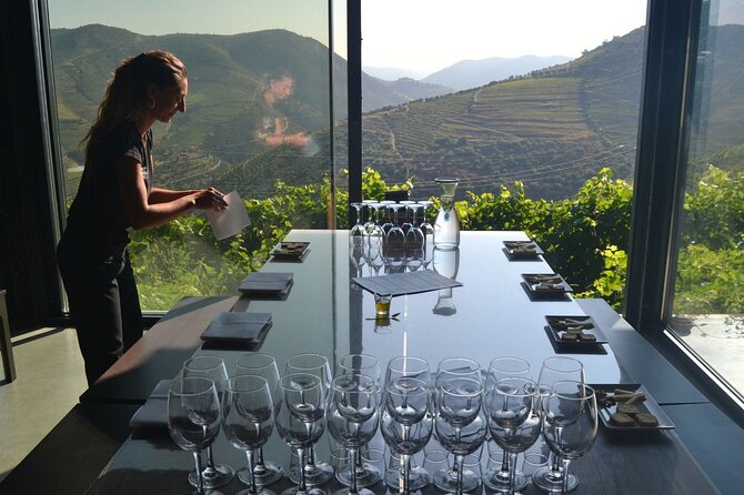 Douro Three Winery Small Group Tour with Lunch and Tastings - What the guide adds to the day