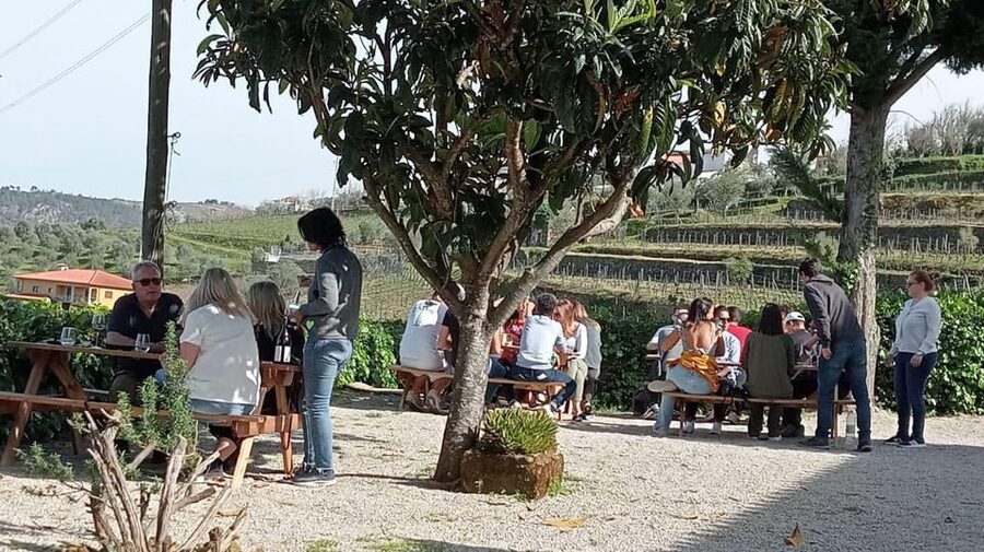 Douro Tour with Wine Tasting and Visit to Lamego and Pinhão - Should you book it?
