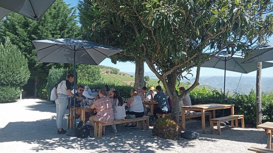 Douro Tour with Wine Tasting and Visit to Lamego and Pinhão - Pinhão’s Rabelo boat cruise gives you the river view