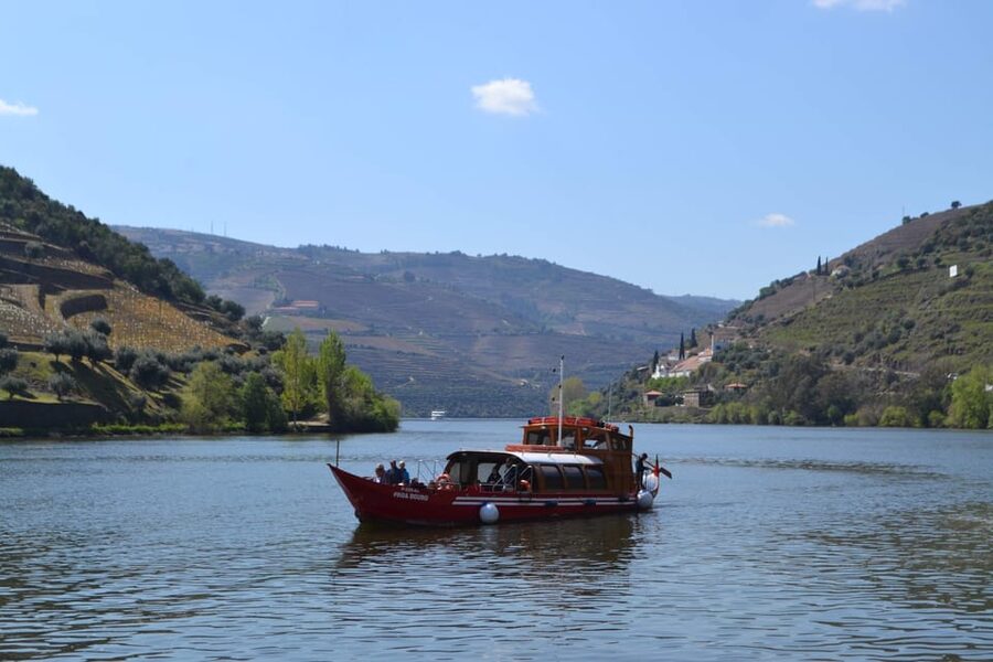 Douro Tour with Wine Tasting and Visit to Lamego and Pinhão - The guides can make the long day feel easy