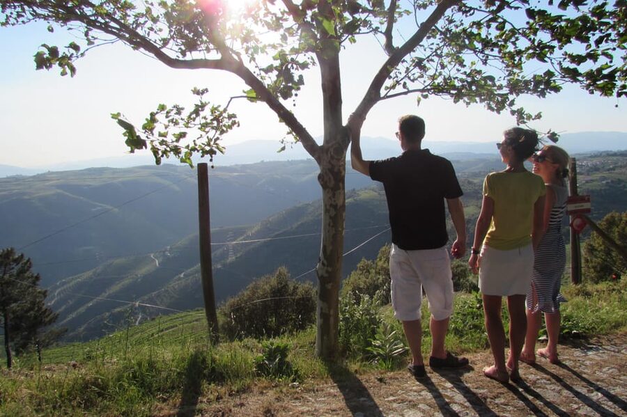 Douro Tour with Wine Tasting and Visit to Lamego and Pinhão - Is $93 a fair price for this day?