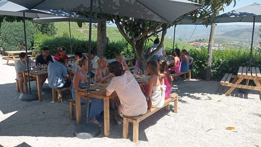 Douro Tour with Wine Tasting and Visit to Lamego and Pinhão - Who should book this Douro Valley tour?