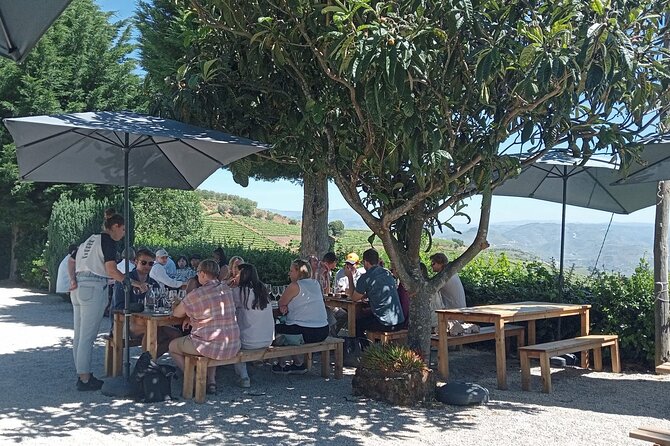 Douro Tour with Wine Tasting, River Cruise and Visit to Lamego - A family-owned vineyard and four wines