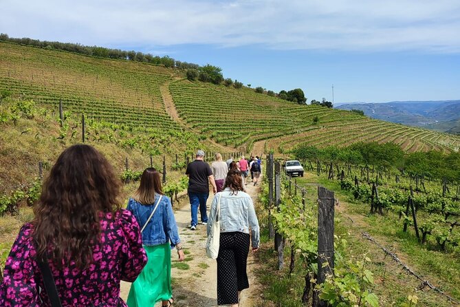 Douro Tour with Wine Tasting, River Cruise and Visit to Lamego - Entering the Douro Valley by road