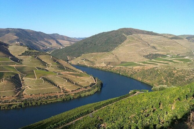 DOURO TOURS - Premium Tour - Second Quinta: three Ports and a different style of tasting