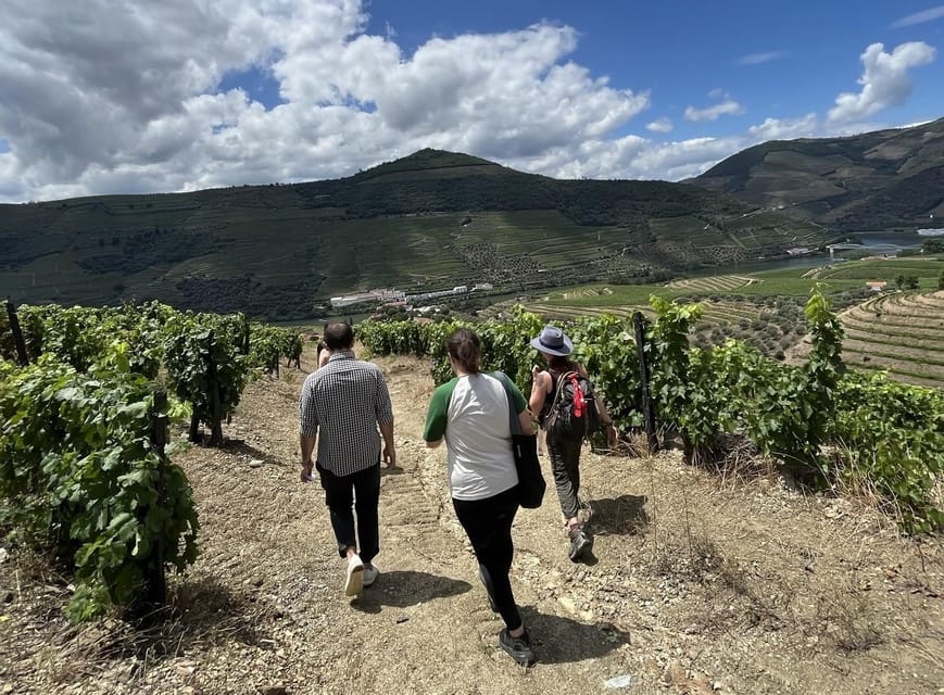 Douro valley: 10 km hike in the Valley - Is $74 good value?