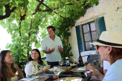Douro valley: 10 km hike in the Valley