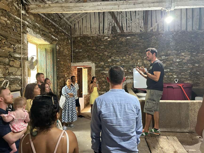 Douro valley: 10 km hike in the Valley - Planning your picnic at midday