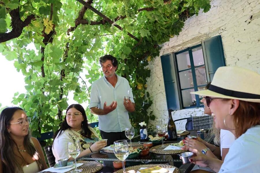 Douro valley: 10 km hike in the Valley - The scenic drive along the N323