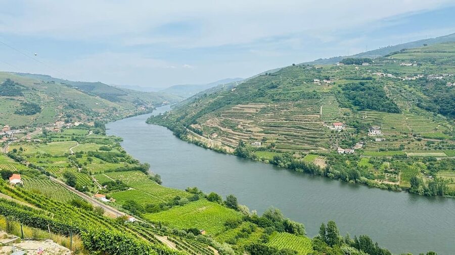 Douro Valley: 4 Cities, Wine&History - Private All-Inclusive - Peso da Régua puts the wine region in view