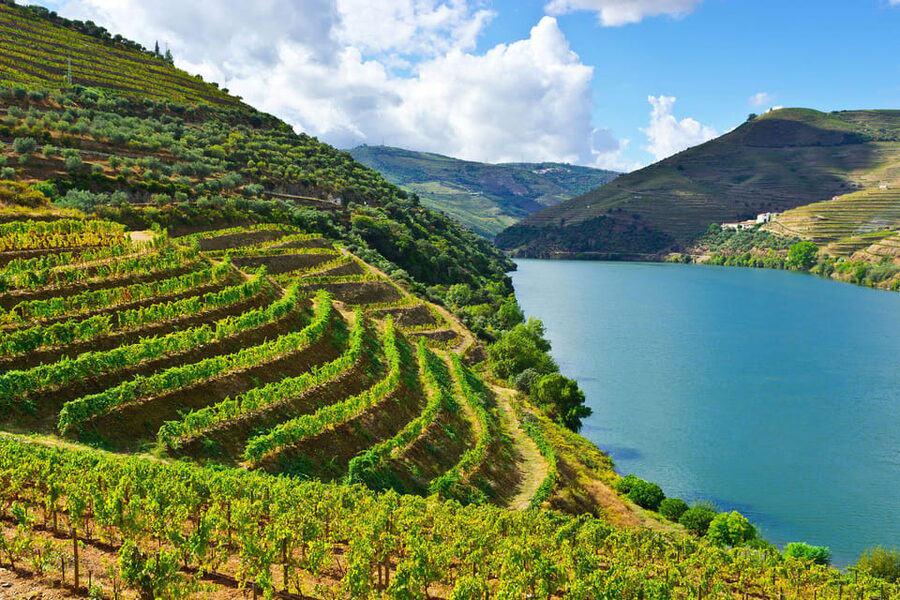 Douro Valley & Amarante - from Porto, Braga or Guimarães - Why this route makes sense from Porto