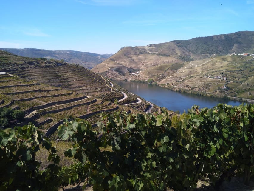 Douro Valley & Amarante - from Porto, Braga or Guimarães - Régua explains the working Douro