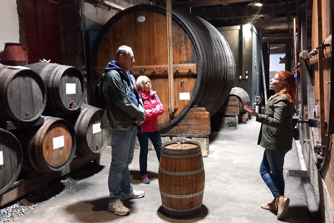 DOURO VALLEY & AMARANTE: Private Tour, Wine Tour and Cruise - Two hours for lunch in the Douro