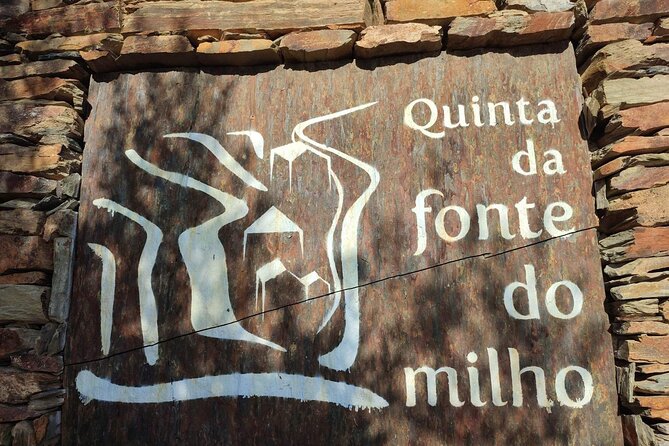 Douro Valley amazing wine Tours - Sabrosa brings a proper Portuguese lunch