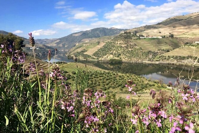 Douro Valley and Régua Panoramic Cruise with Lunch from Porto - Crestuma-Lever and the final approach
