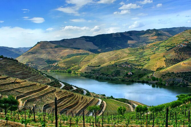 Douro Valley and Régua Panoramic Cruise with Lunch from Porto - What the onboard service is really like