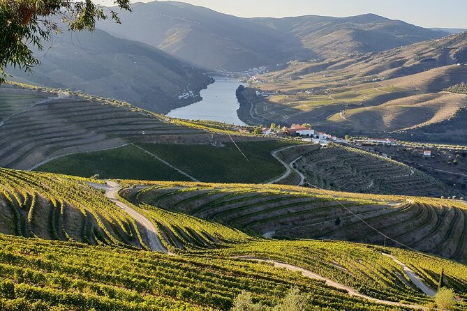 Douro Valley Best-Of Private Tour – Fully Customizable Experience - Provesende and the wine lunch