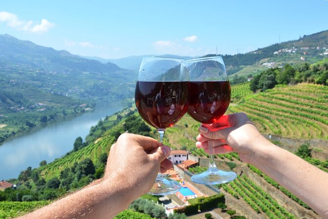Douro Valley Delights Wine Tasting and Scenic Vistas - Key points to know before booking