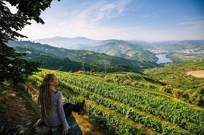 Douro Valley Delights Wine Tasting and Scenic Vistas - Quinta do Beijo keeps the experience personal