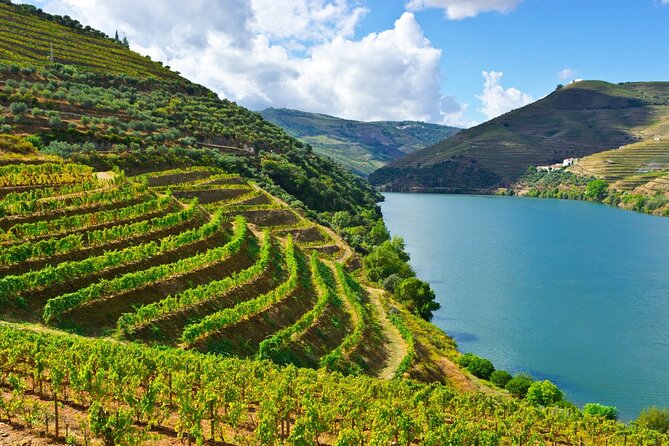 Douro Valley Delights Wine Tasting and Scenic Vistas - What the private vehicle adds to a long day