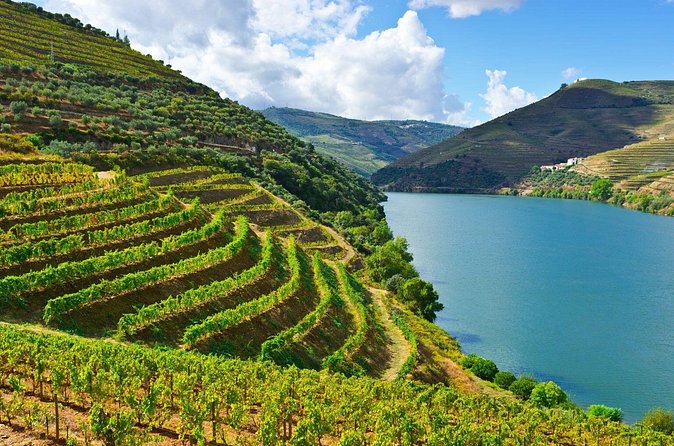 Douro Valley Delights Wine Tasting and Scenic Vistas - Is $688.09 per person good value?