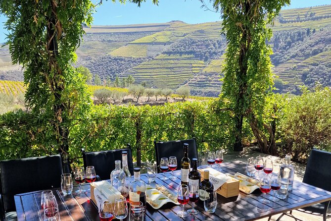 Douro Valley-Expert Guide-Boat-Lunch-Tastings-Offer wine bottle - Leaving Porto for the Douro Valley