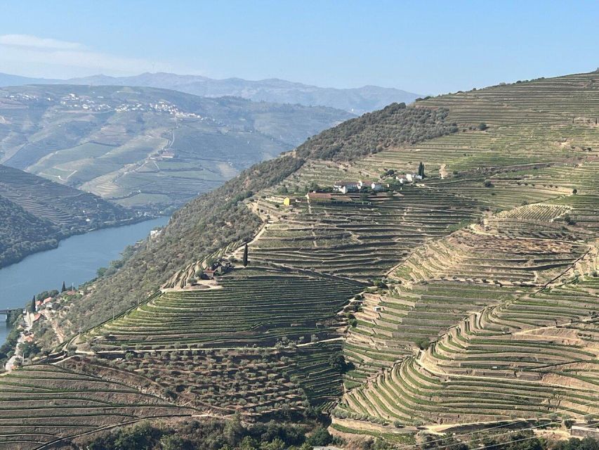 Douro Valley-Expert Guide-Boat-Lunch-Tastings PremiumService - The day’s pace and possible drawbacks