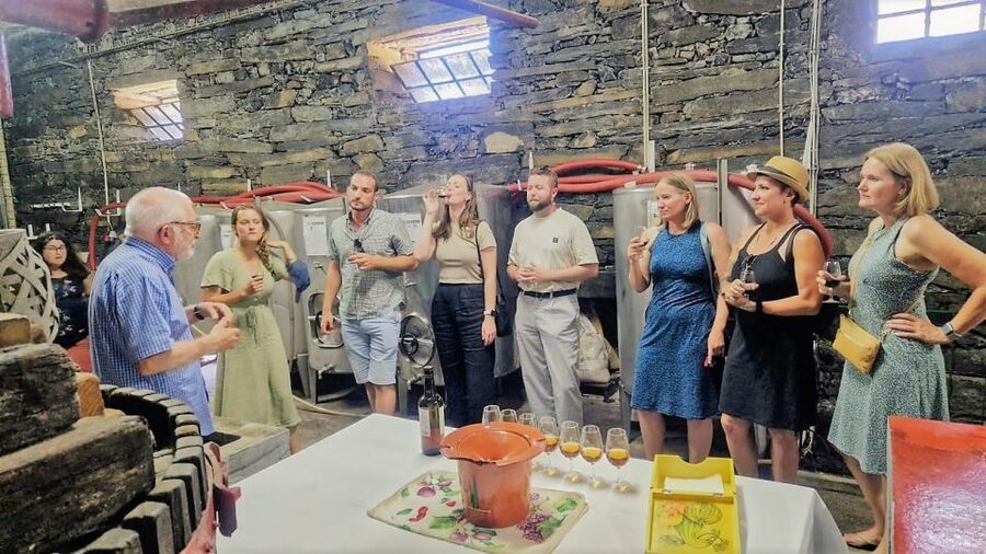 Douro Valley-Expert Guide-Boat-Lunch-Tastings PremiumService - First winery: Port, olive oil, and a polished welcome