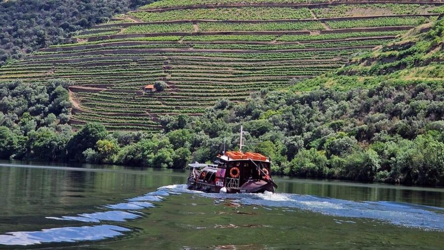Douro Valley-Expert Guide-Boat-Lunch-Tastings PremiumService - The drive into the Douro Valley