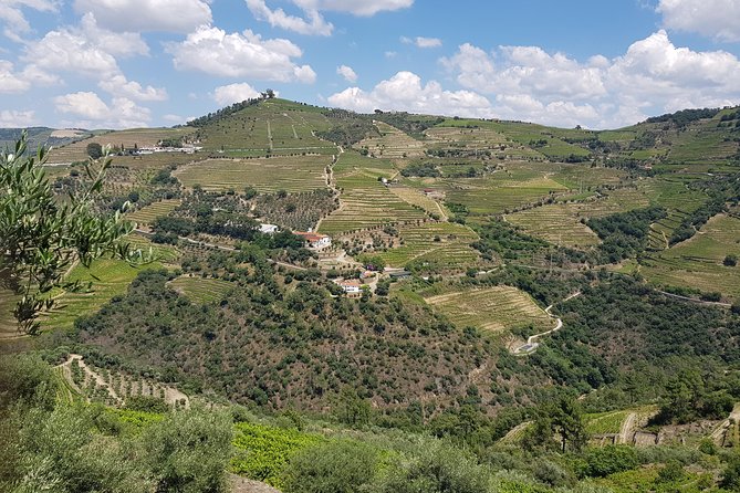 Douro Valley for Wine Lovers with Visit to 4 Wineries and Lunch - Leaving Porto from Igreja da Lapa