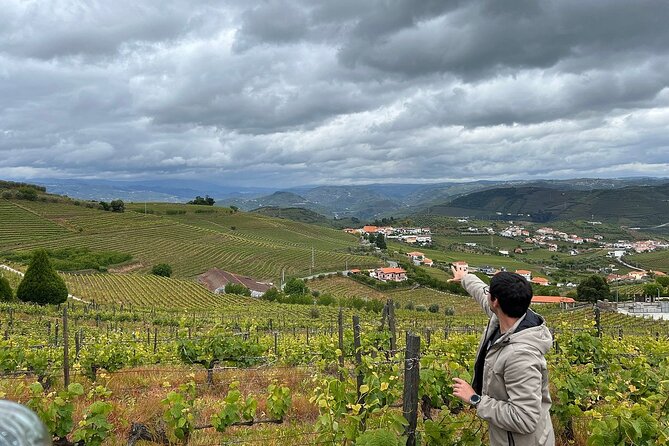 Douro Valley for Wine Lovers with Visit to 4 Wineries and Lunch - Third stop: table wine, olive oil, and honey