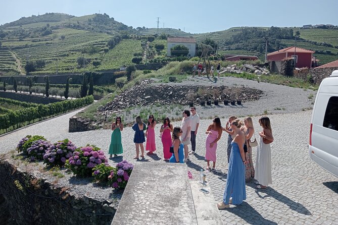 Douro Valley for Wine Lovers with Visit to 4 Wineries and Lunch - The road into Portugal’s wine country