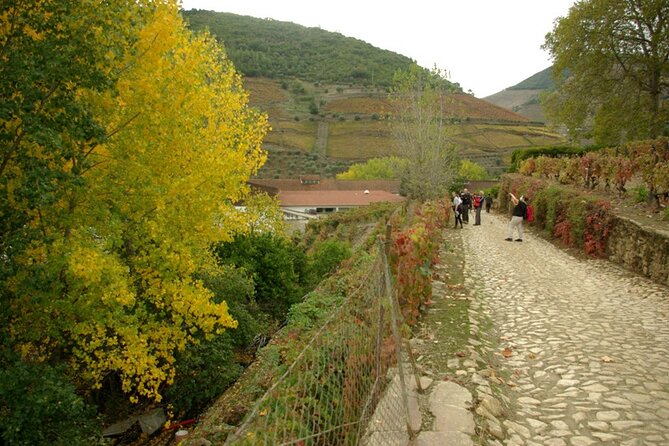 Douro Valley: From Casal de Loivos to Pinhão Walk and Wine Tour - Why this day works well in the Douro