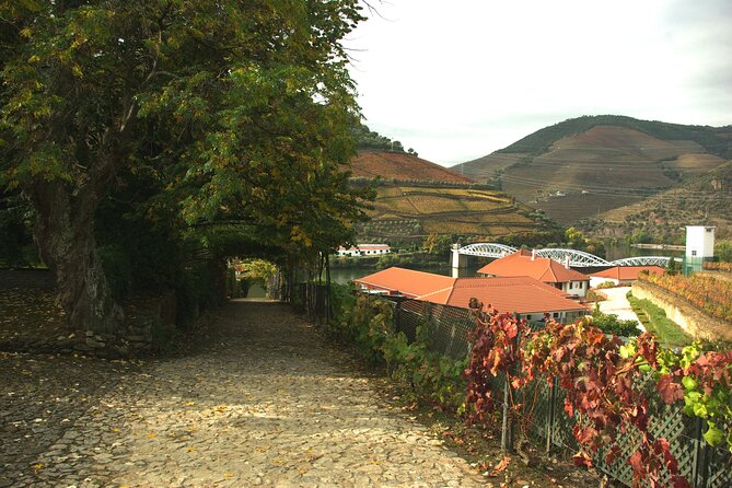 Douro Valley: From Casal de Loivos to Pinhão Walk and Wine Tour - From Porto to Peso da Régua