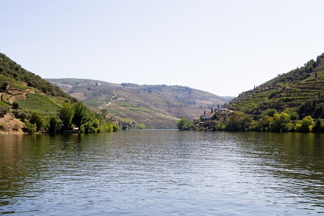 Douro Valley Full Day Tour with River Cruise and Wine Tastings - The second estate and a broader tasting
